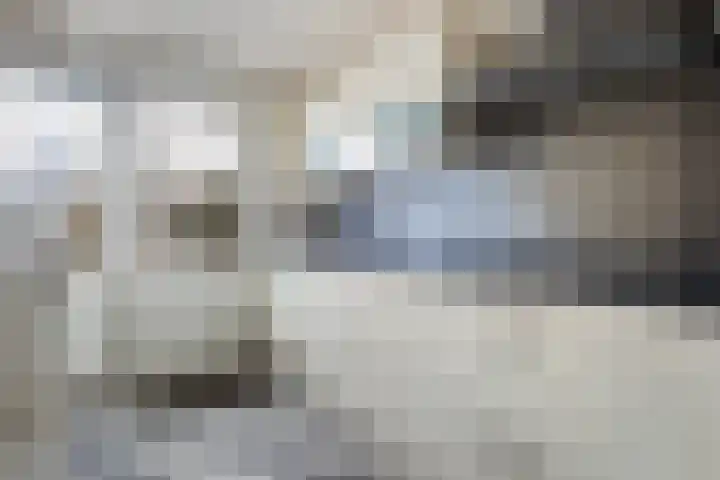 Troelstralaan 5 Buitenpost thumbnail 4