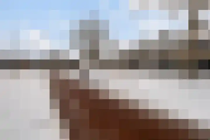 Troelstralaan 5 Buitenpost thumbnail 5