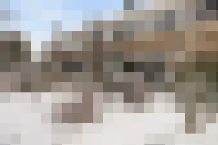 Troelstralaan 5 Buitenpost thumbnail 6