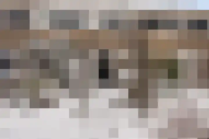 Troelstralaan 5 Buitenpost thumbnail 7