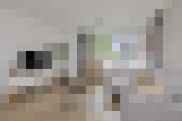 Troelstralaan 5 Groningen thumbnail 14