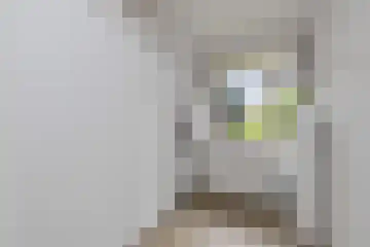 Troelstralaan 5 Groningen thumbnail 24