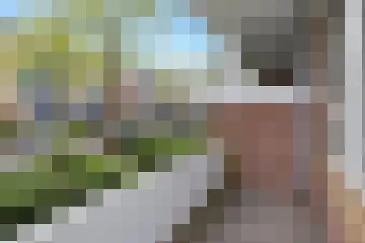Troelstralaan 5 Groningen thumbnail 33