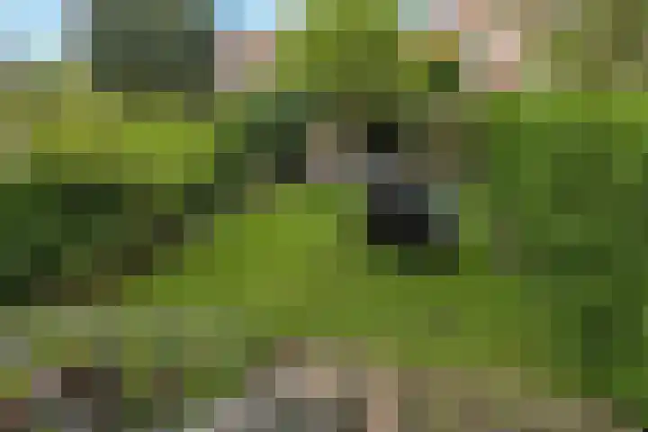 Troelstralaan 5 Groningen thumbnail 35