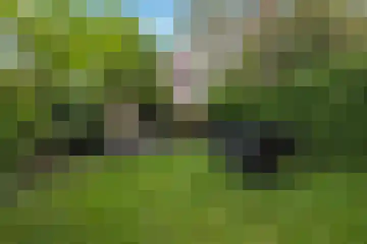Troelstralaan 5 Groningen thumbnail 36