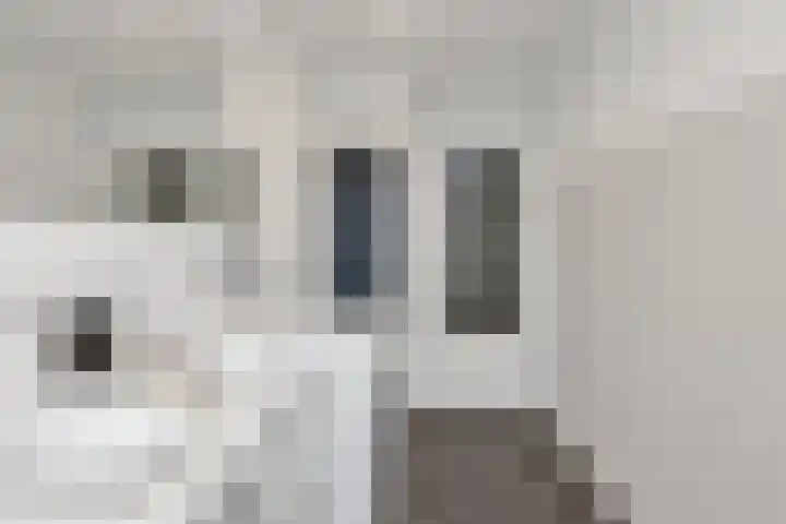 Troelstralaan 5 Groningen thumbnail 4