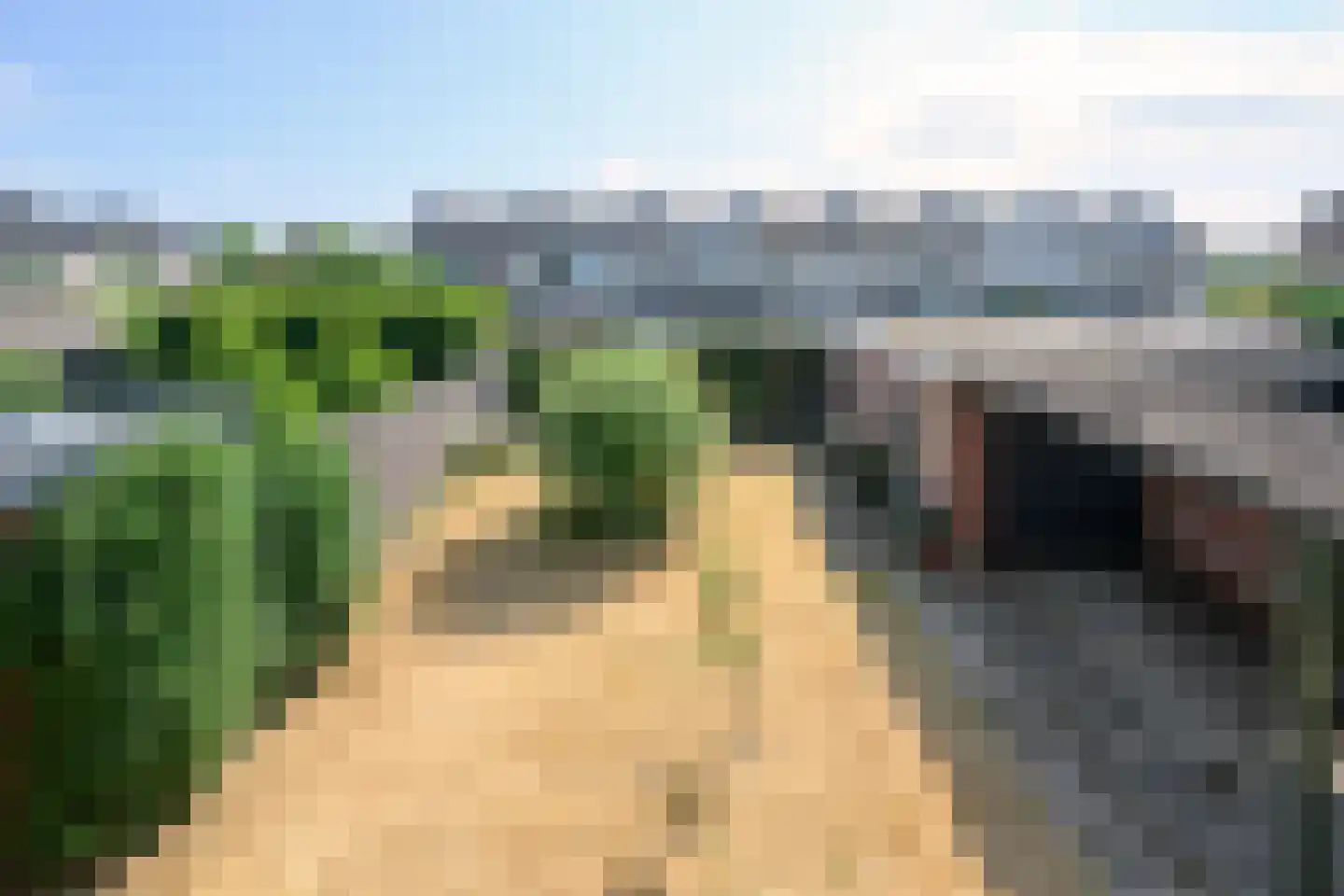 Troelstralaan 50 Brummen thumbnail 17