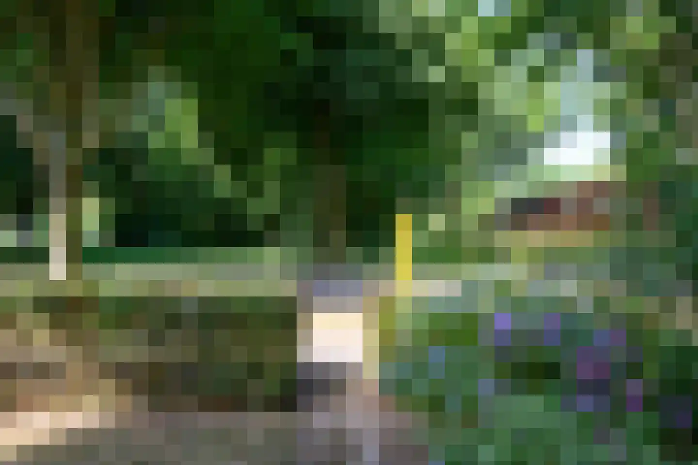 Troelstralaan 50 Brummen thumbnail 23