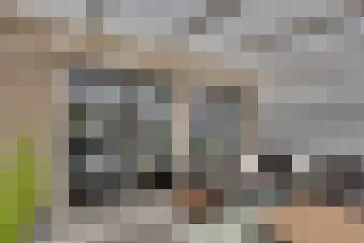 Troelstralaan 50 Goes thumbnail 11