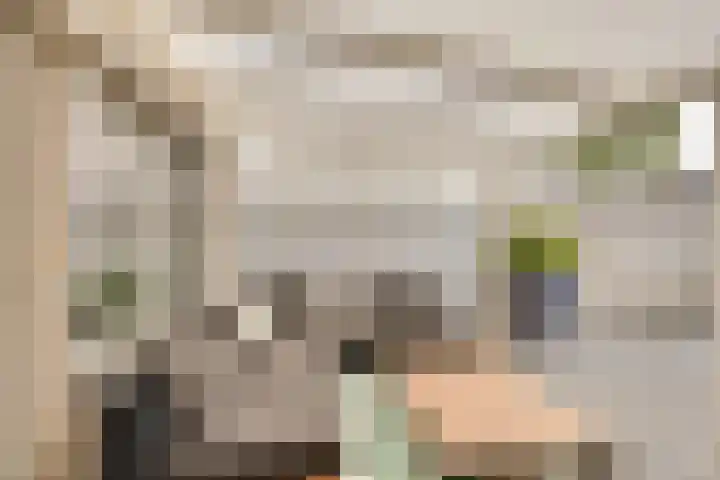 Troelstralaan 50 Goes thumbnail 15
