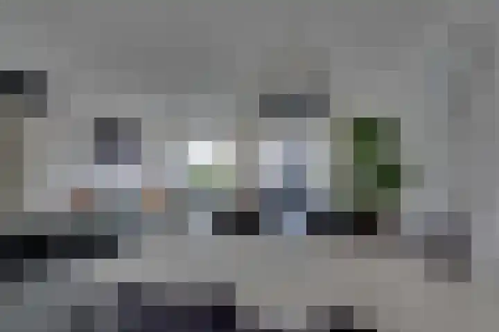Troelstralaan 50 Goes thumbnail 18