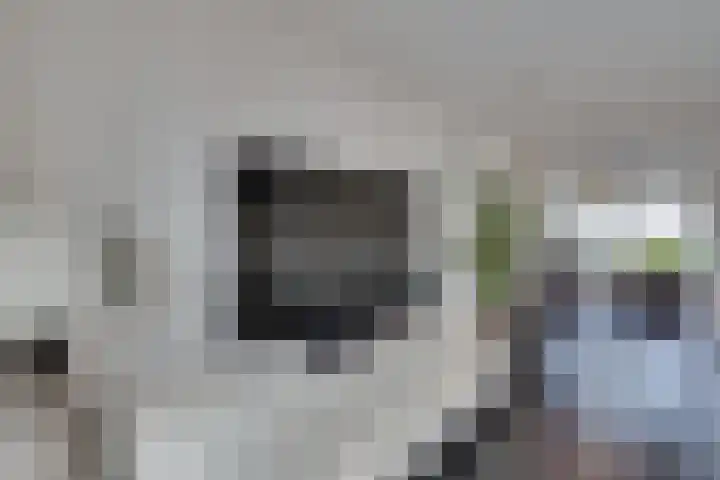 Troelstralaan 50 Goes thumbnail 24