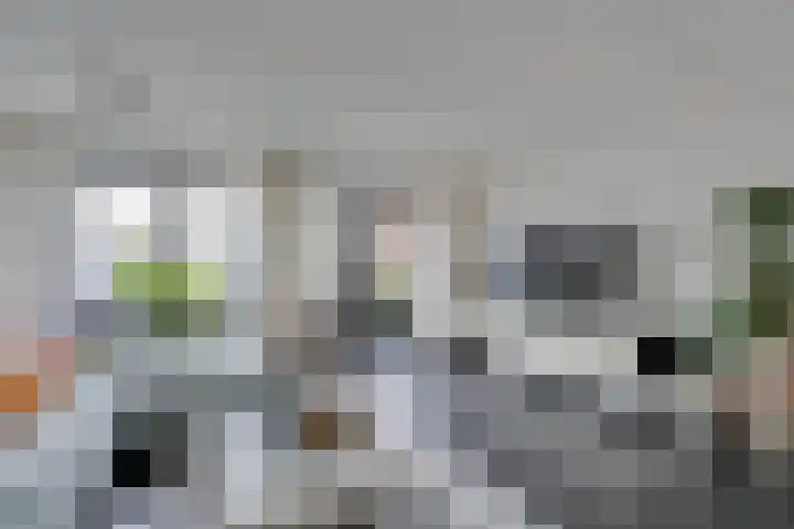 Troelstralaan 50 Goes thumbnail 25