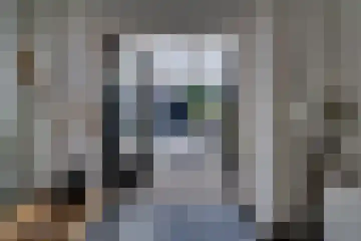 Troelstralaan 50 Goes thumbnail 27