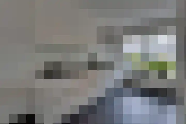Troelstralaan 50 Goes thumbnail 29