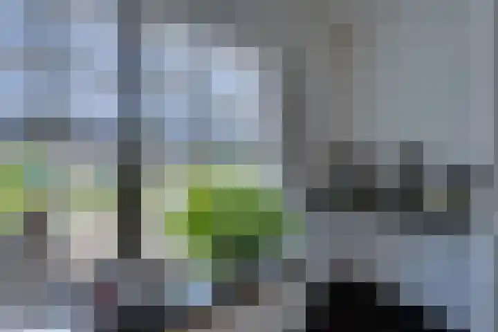 Troelstralaan 50 Goes thumbnail 33