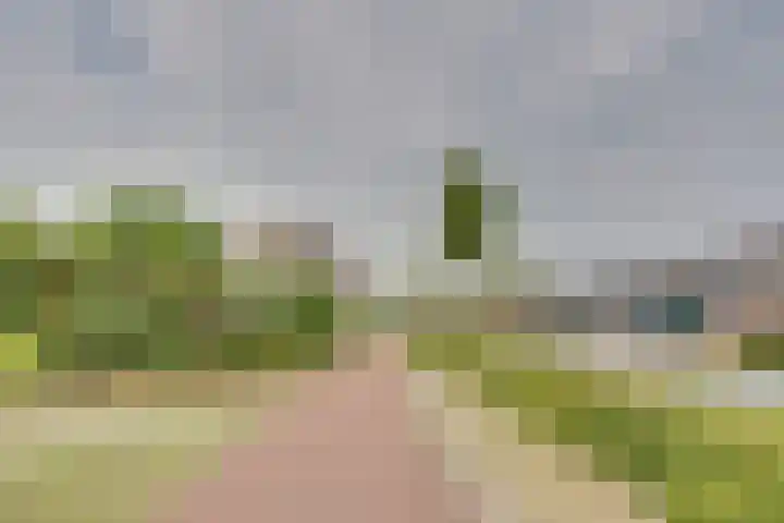 Troelstralaan 50 Goes thumbnail 5