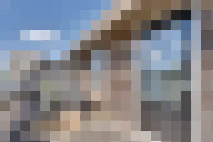 Troelstralaan 50 Goes thumbnail 53