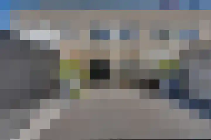 Troelstralaan 50 Goes thumbnail 8