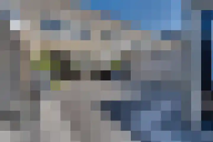 Troelstralaan 50 Goes thumbnail 9