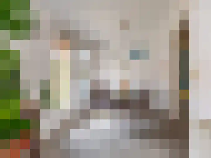 Troelstralaan 55 Zutphen thumbnail 4