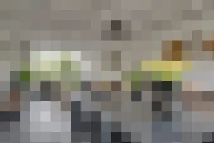 Troelstralaan 57 Brummen thumbnail 12