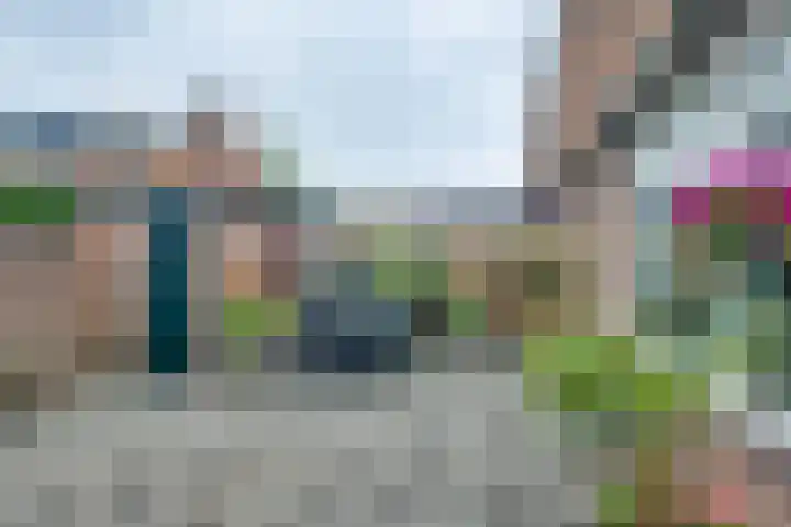 Troelstralaan 57 Brummen thumbnail 33