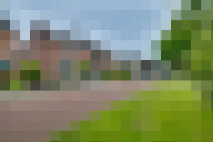 Troelstralaan 57 Brummen thumbnail 40