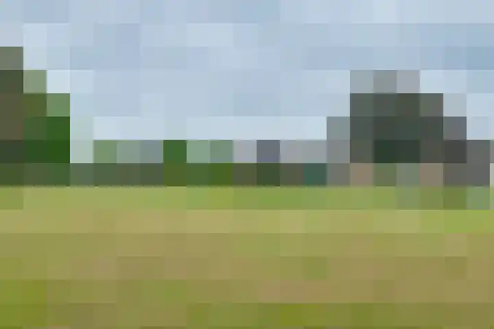 Troelstralaan 57 Brummen thumbnail 41