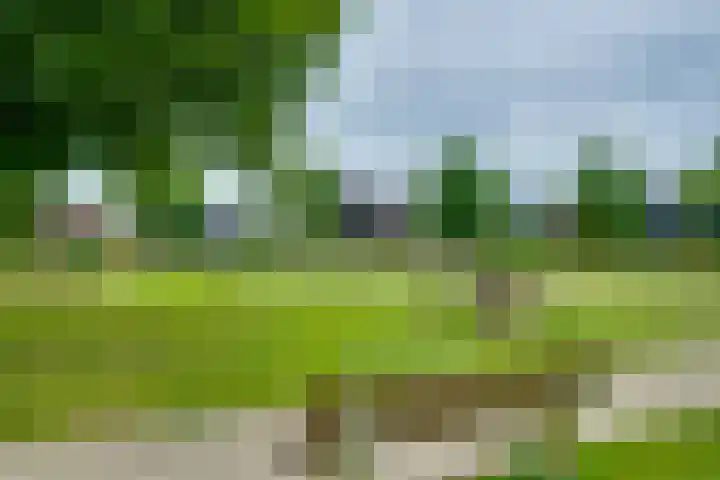 Troelstralaan 57 Brummen thumbnail 42