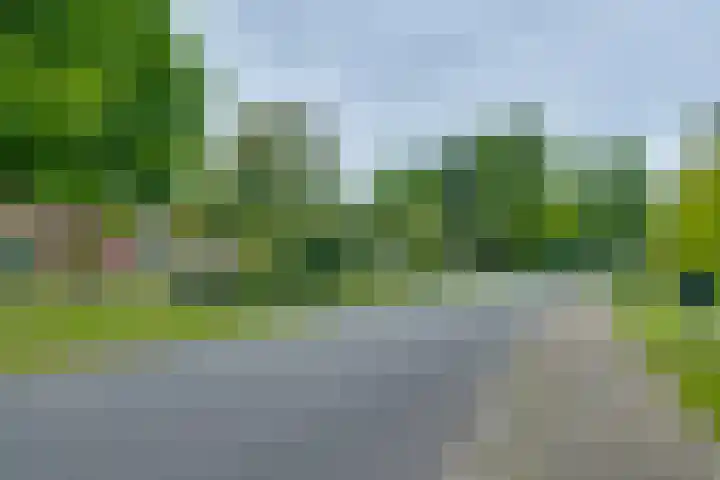 Troelstralaan 57 Brummen thumbnail 43