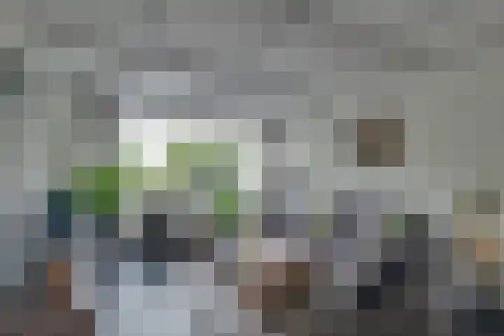Troelstralaan 57 Brummen thumbnail 7