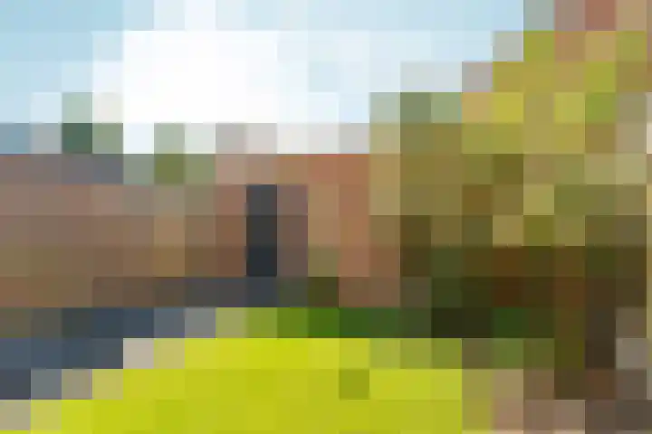 Troelstralaan 59 Brummen thumbnail 39