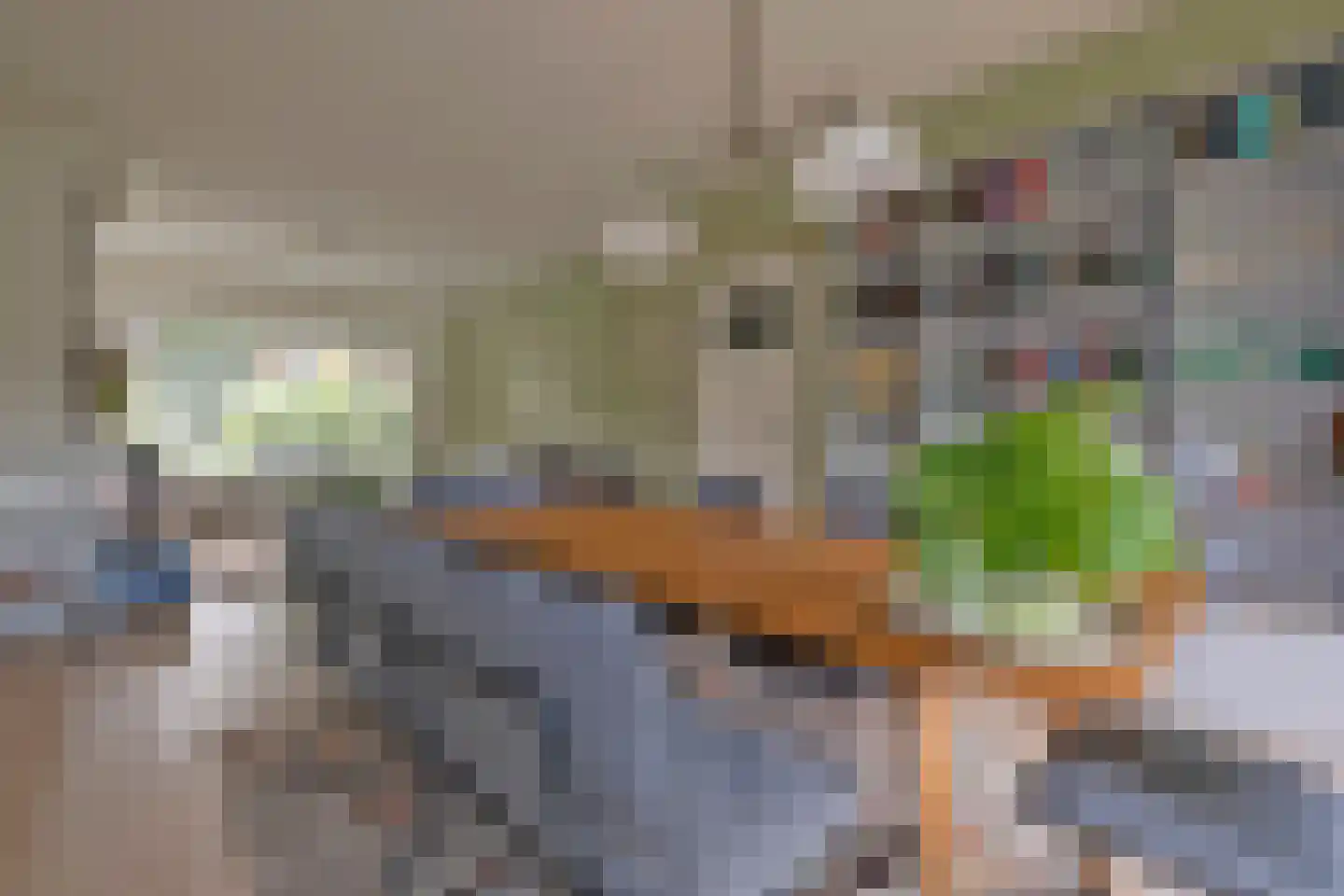 Troelstralaan 60 Groningen thumbnail 12