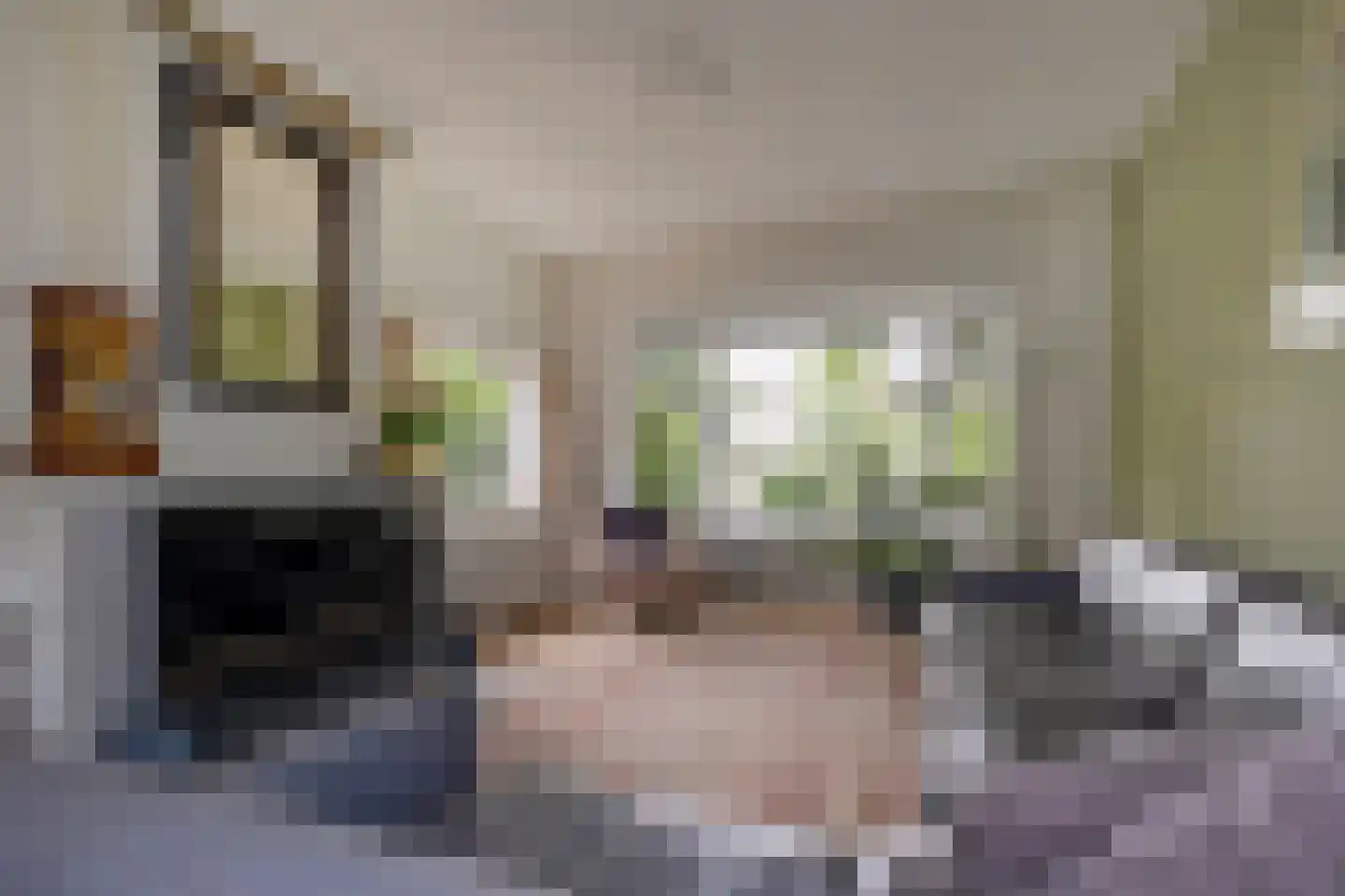 Troelstralaan 60 Groningen thumbnail 17