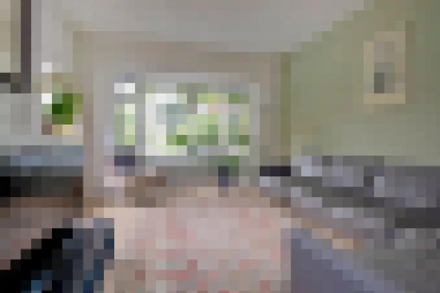 Troelstralaan 60 Groningen thumbnail 18