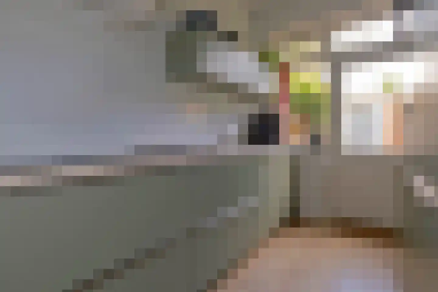 Troelstralaan 60 Groningen thumbnail 21
