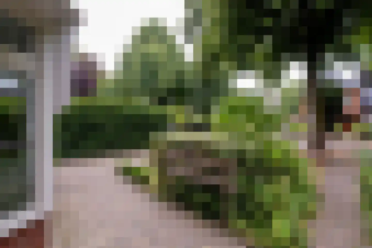 Troelstralaan 60 Groningen thumbnail 4