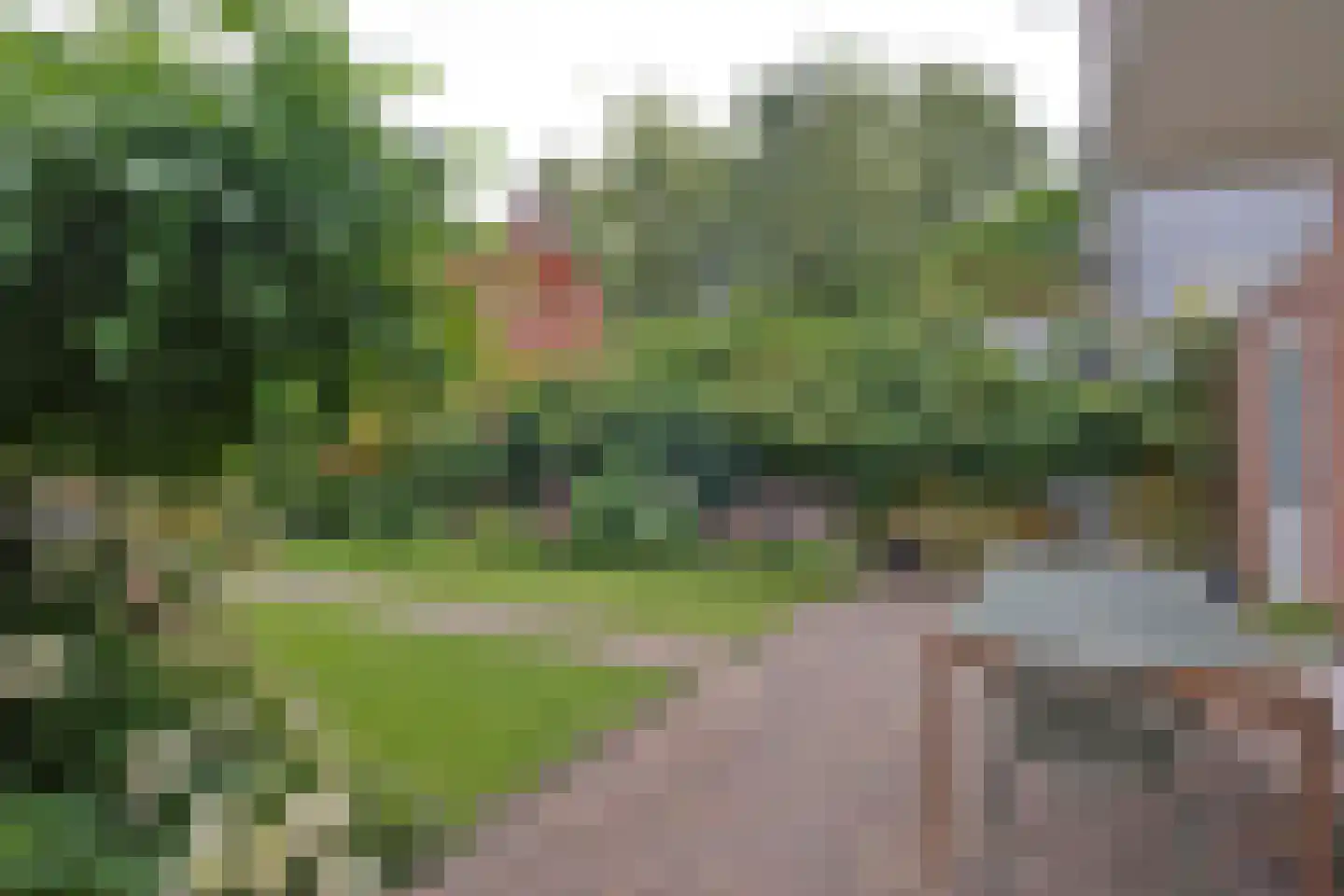 Troelstralaan 60 Groningen thumbnail 48