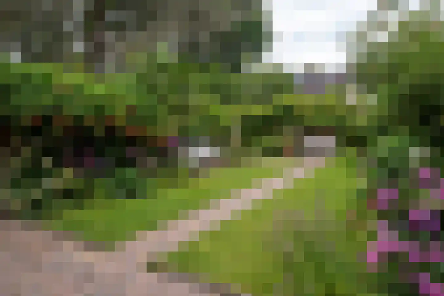 Troelstralaan 60 Groningen thumbnail 49