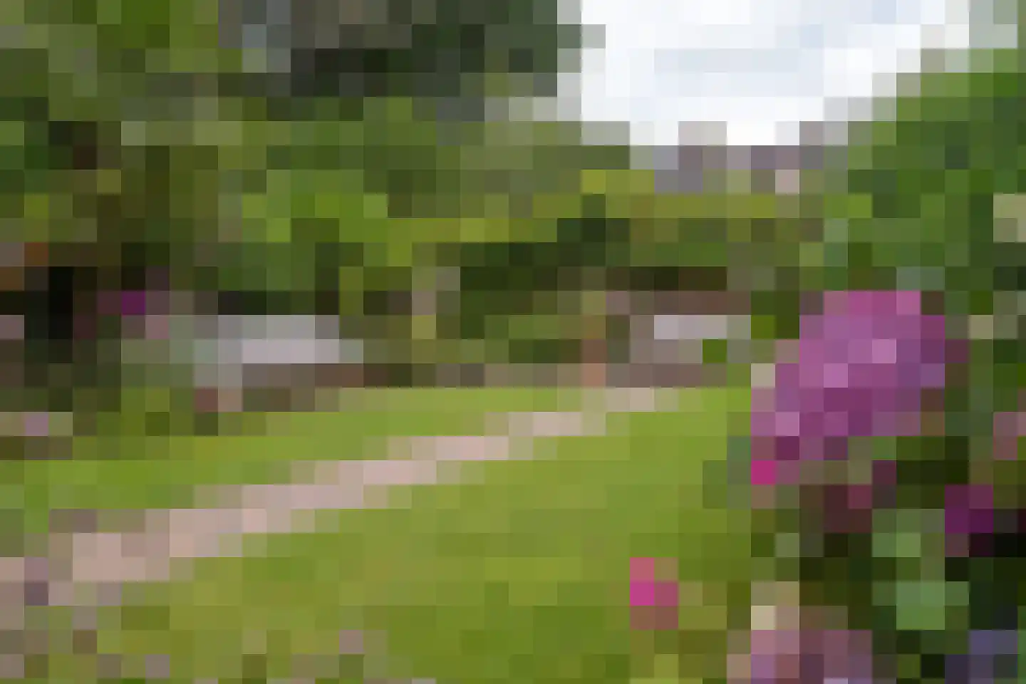 Troelstralaan 60 Groningen thumbnail 50