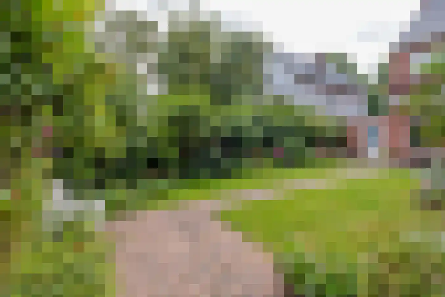 Troelstralaan 60 Groningen thumbnail 51