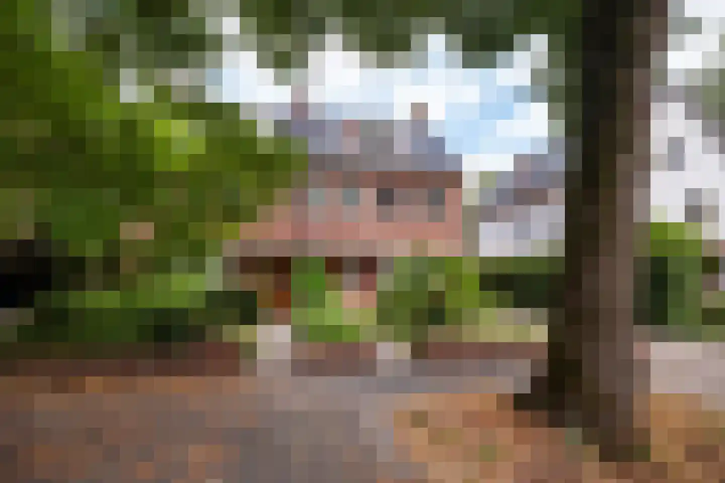 Troelstralaan 60 Groningen thumbnail 55