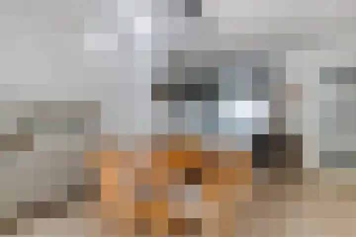 Troelstralaan 62 Utrecht thumbnail 11