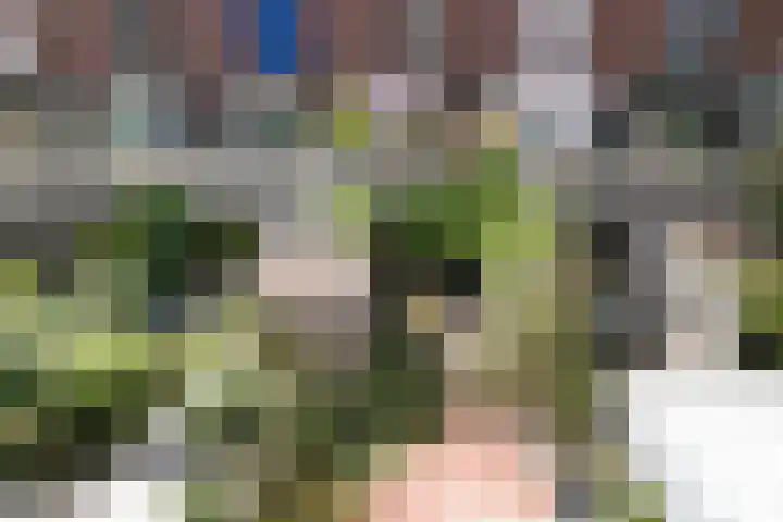 Troelstralaan 62 Utrecht thumbnail 33