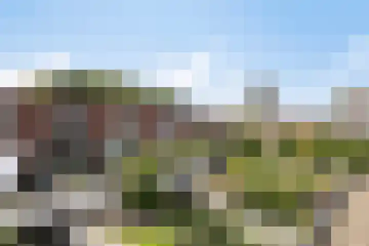 Troelstralaan 62 Utrecht thumbnail 34