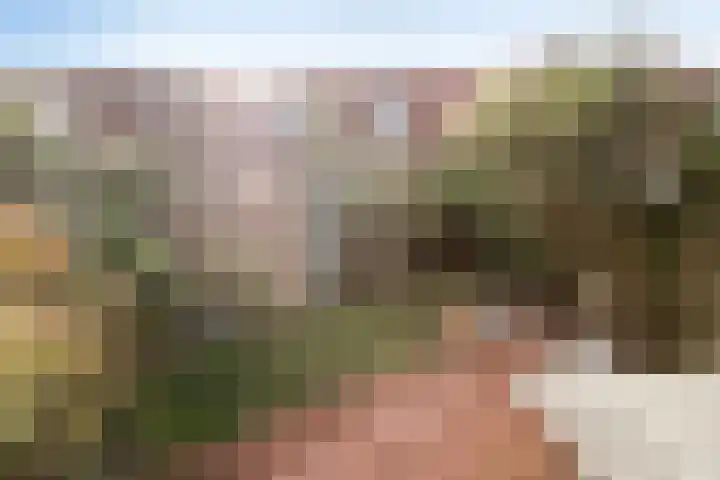 Troelstralaan 62 Utrecht thumbnail 37