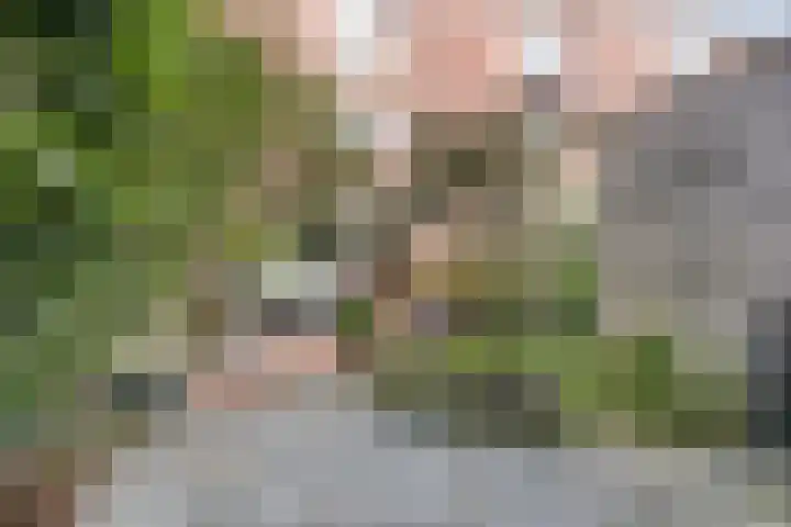 Troelstralaan 62 Utrecht thumbnail 39