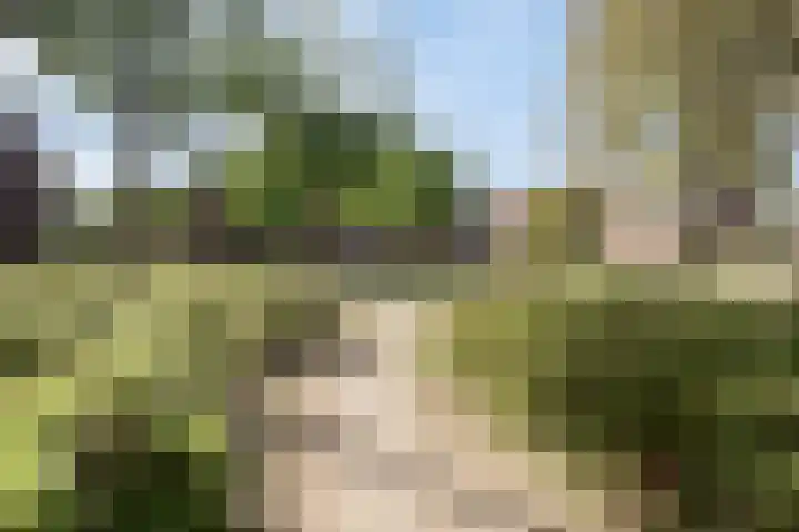 Troelstralaan 62 Utrecht thumbnail 41