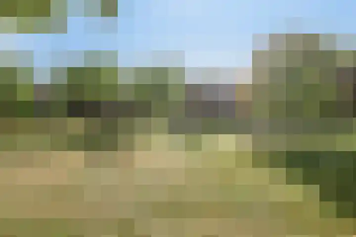 Troelstralaan 62 Utrecht thumbnail 42